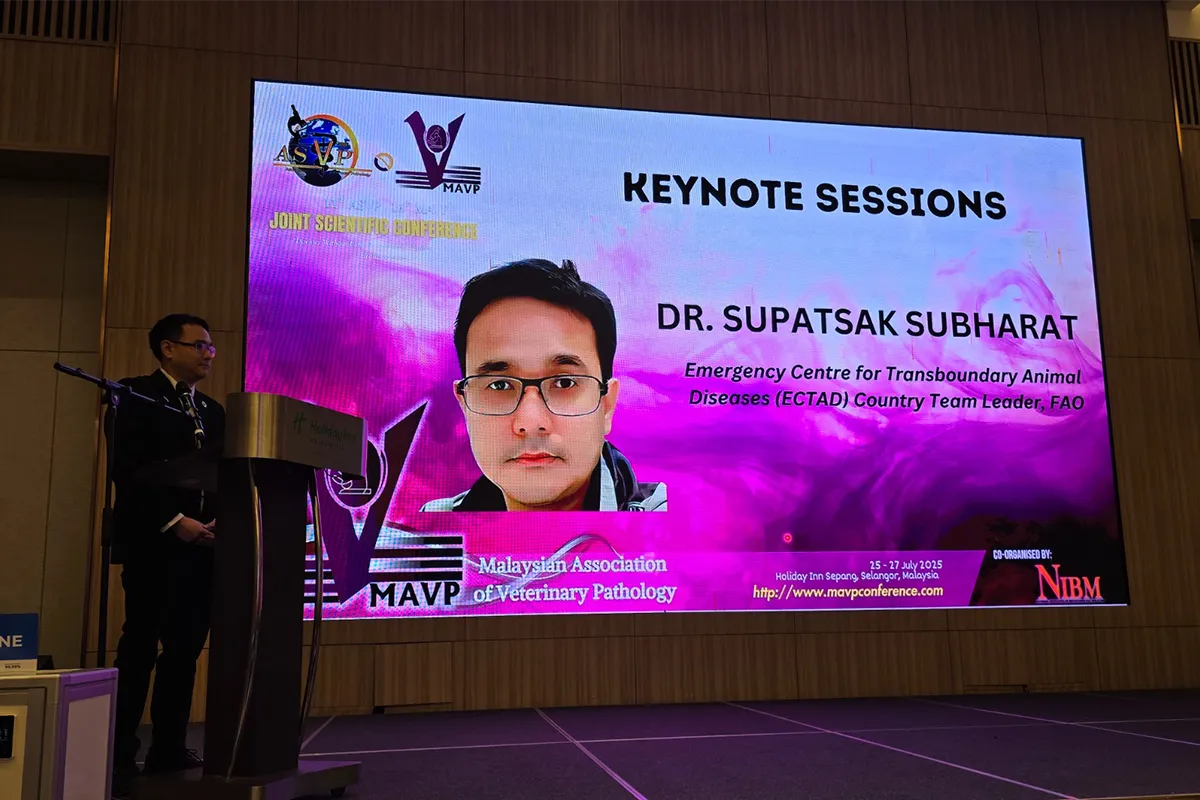 Gambar Home Gavis 15