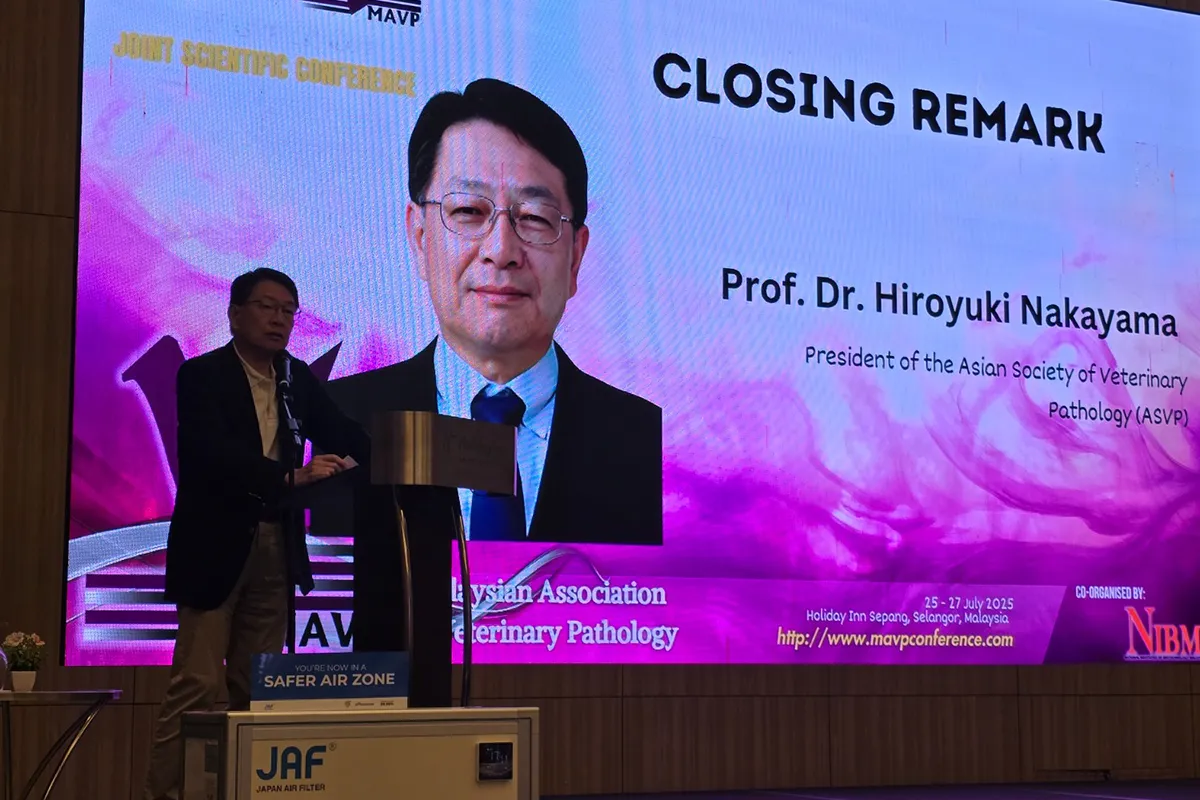 Gambar Home Gavis 19