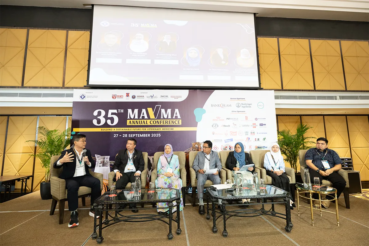 Home Gallery Carousell 13