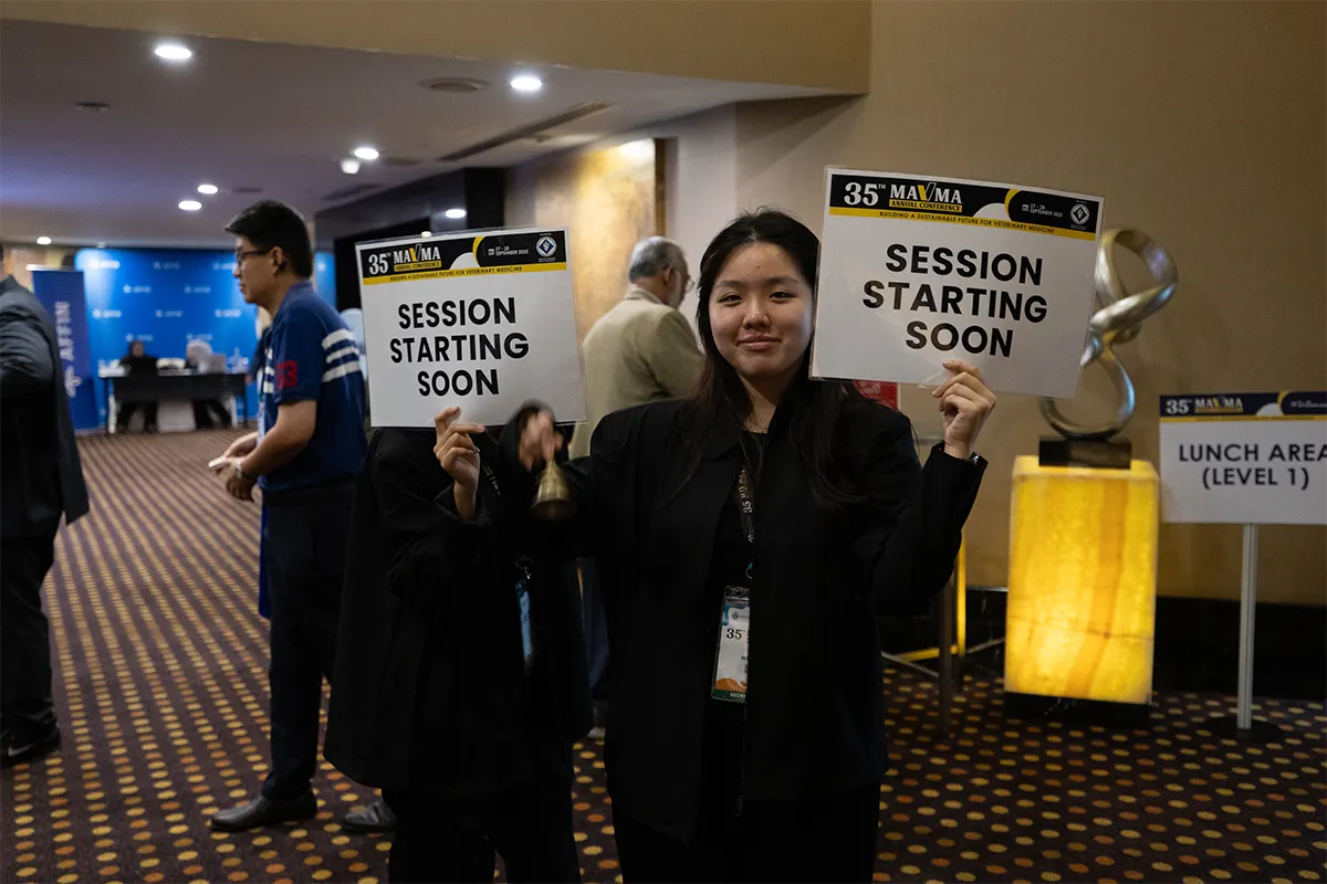 Home Gallery Carousell 18