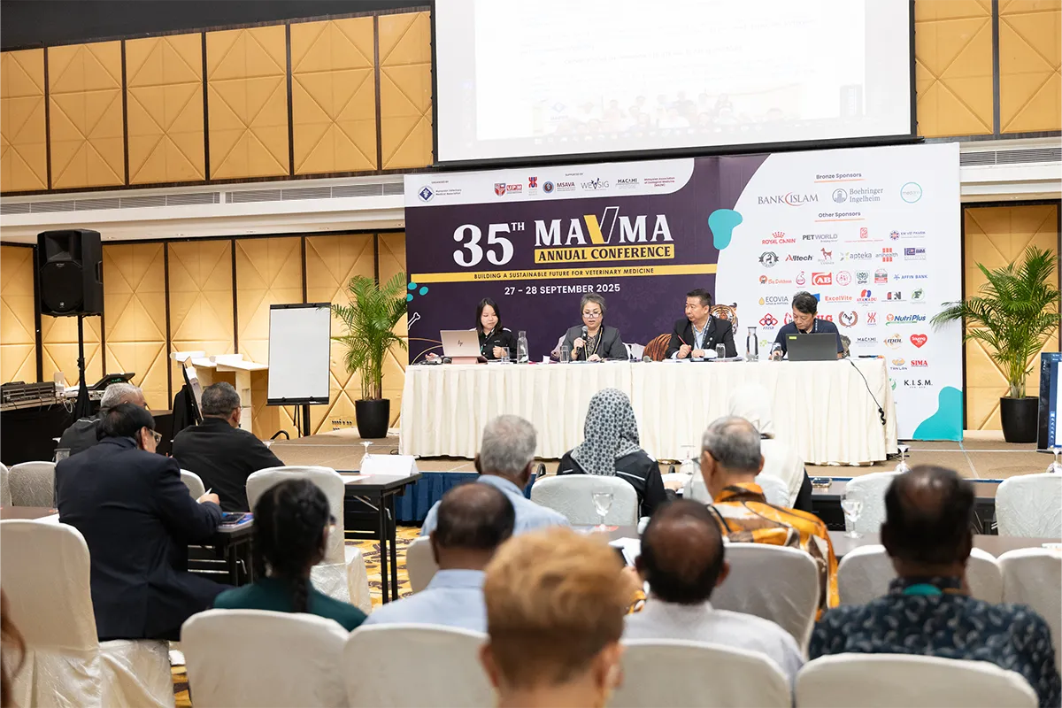 Home Gallery Carousell 19