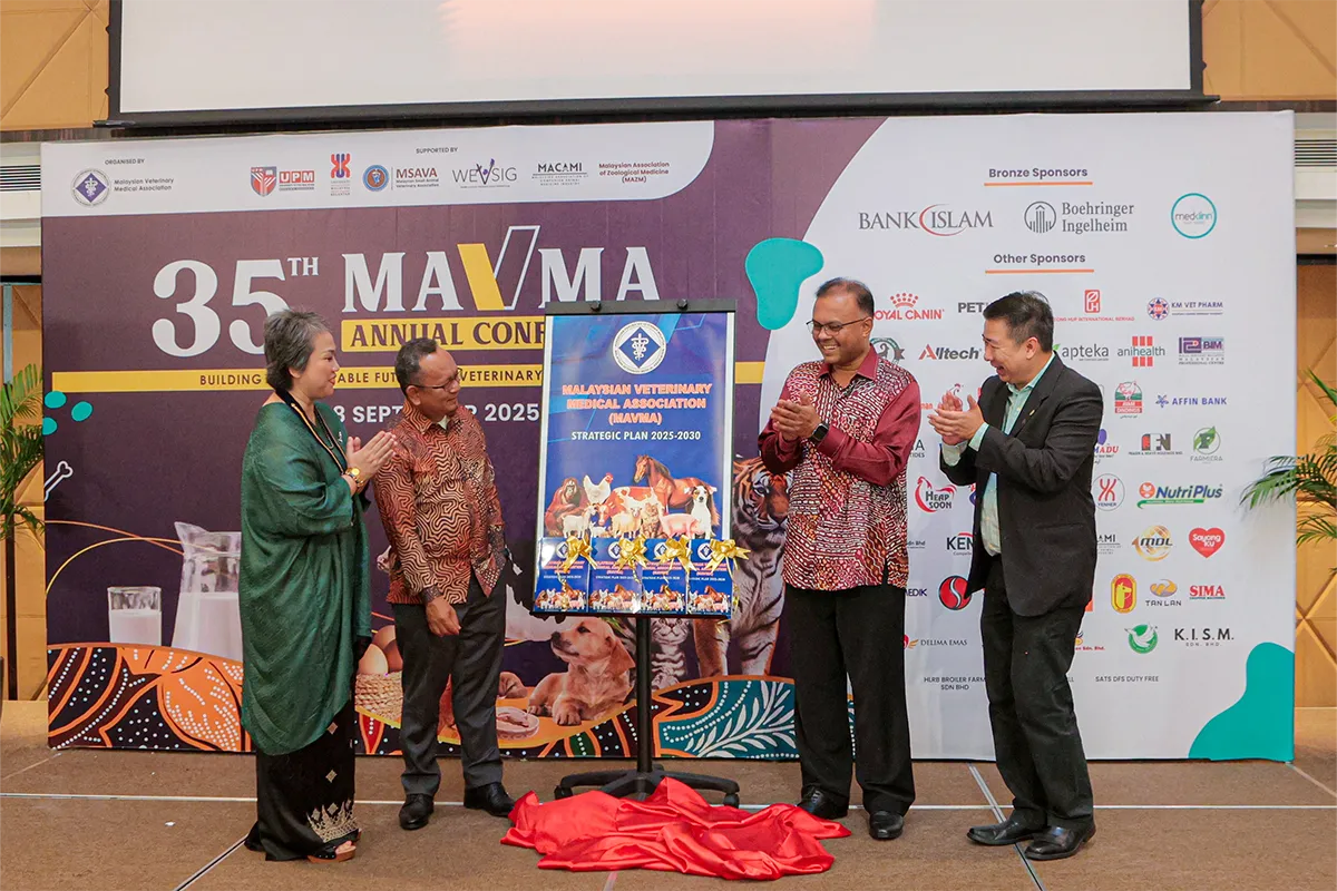 Home Gallery Carousell 4