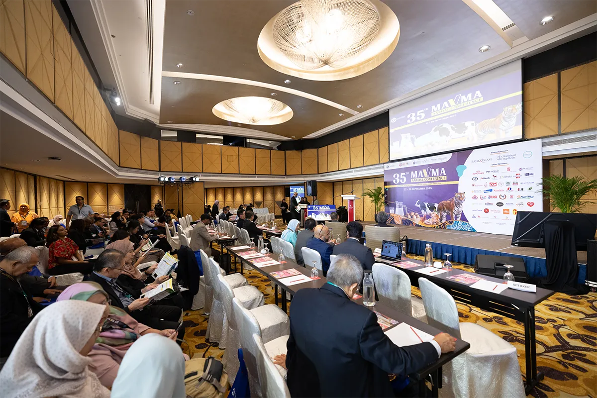 Home Gallery Carousell 7