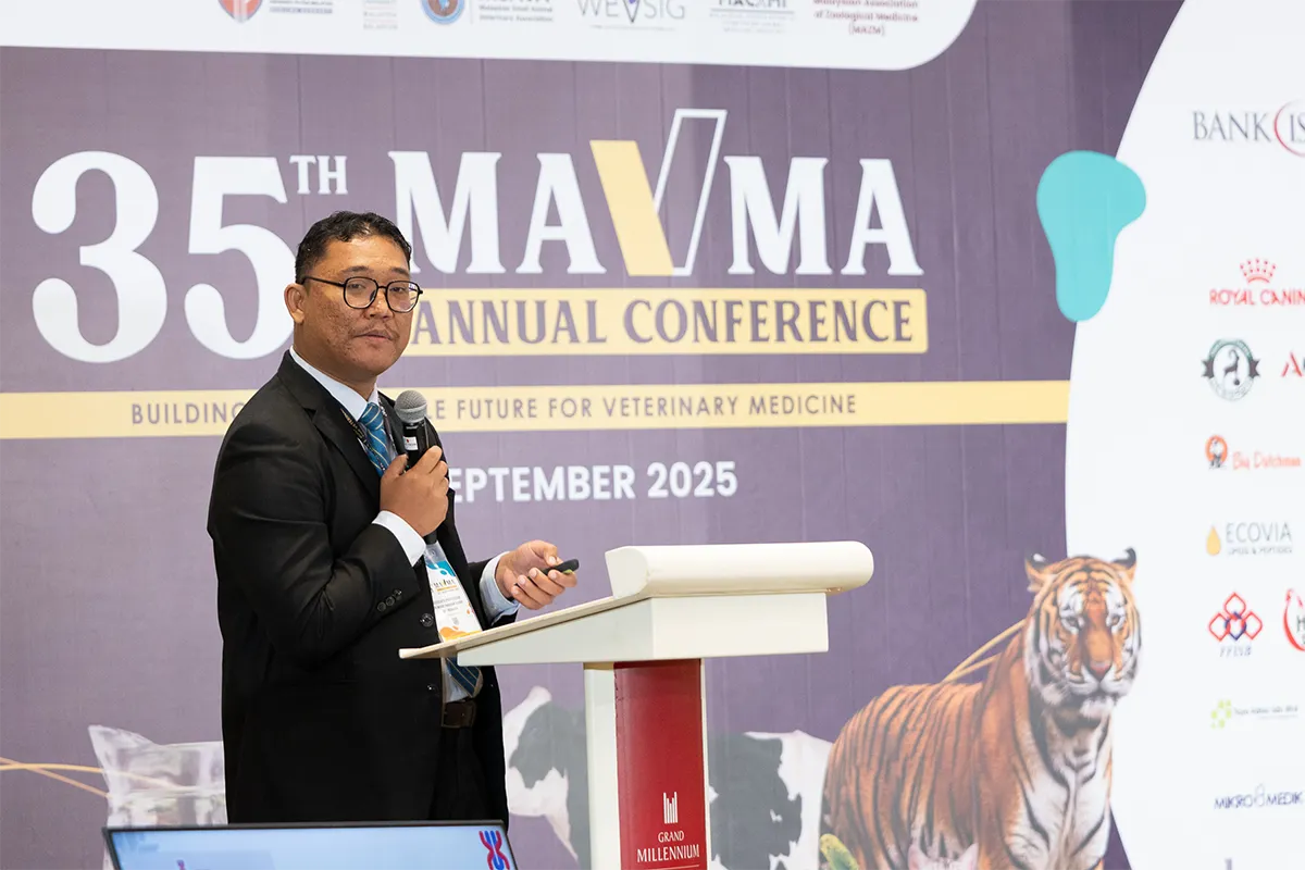 Home Gallery Carousell 9